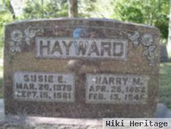 Harry Martin Hayward, Sr