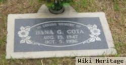 Dana Gail Cook Cota