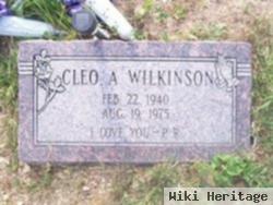 Cleo A. Wilkinson