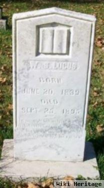 William Sidney "w.s." Lucus