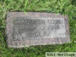 Elizabeth J. Costel