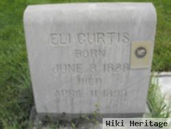 Eli Curtis