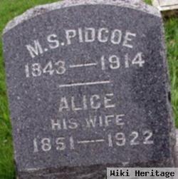 M S Pidcoe