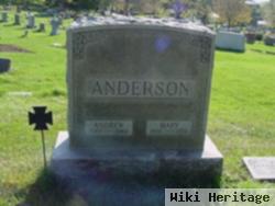 Andrew Anderson