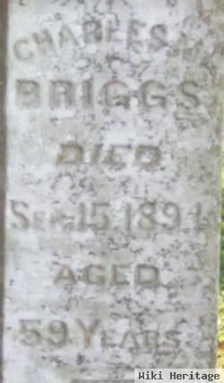 Charles M. Briggs