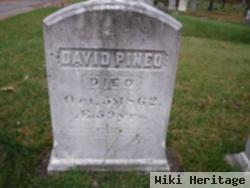 David Pineo