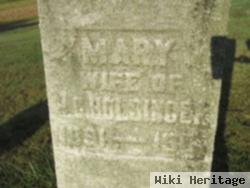 Mary Ickes Holsinger