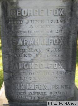 Ann M Fox