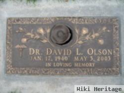 Dr David L Olson