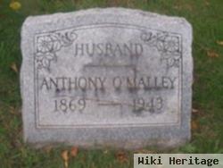 Anthony O'malley