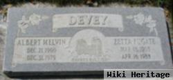 Albert Melvin Devey