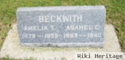 Amelia T "nellie" Clark Beckwith