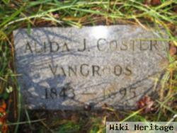 Alida Johanna Coster Van Groos