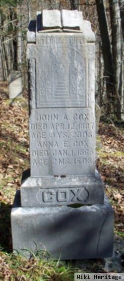 John A Cox