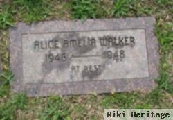 Alice Amelia Walker