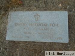 David Needom "d.n." Foil