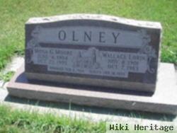 Wallace Lorin Olney