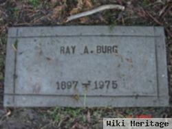 Ray Alfred Burg