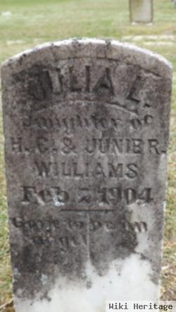 Julia L Williams