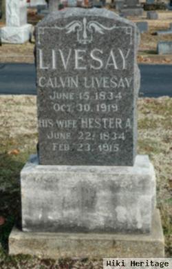 Hester A. Perkins Livesay