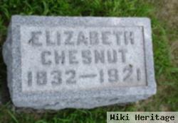 Elizabeth Chesnut