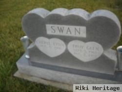 Troy Glen Swan