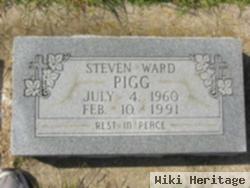 Steven W Pigg