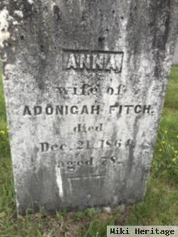 Anna Fox Fitch