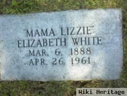 Elizabeth "lizzie" Wilson White