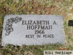 Elizabeth A Hoffman