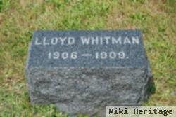 Lloyd Whitman