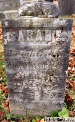 Sarah E. Williams