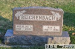 Ray E Reichenbach