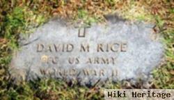 David M. Rice