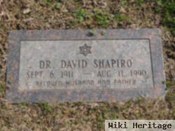 Dr David Shapiro