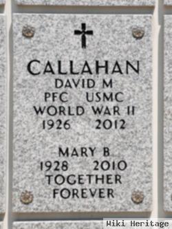 David Manning Callahan