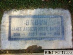James Andrew Brown