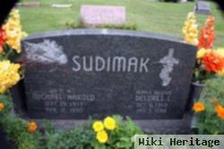 Michael Harold Sudimak