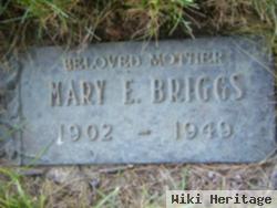 Mary E Briggs