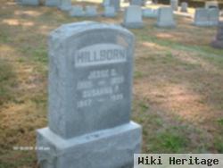 Susanna P Hillborn