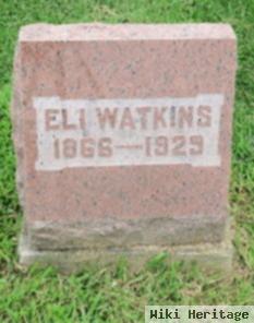 Eli Watkins