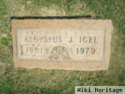 Aloysius J Igel