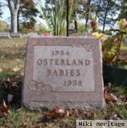 Baby Osterland