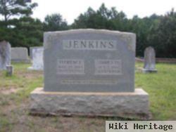 James D Jenkins