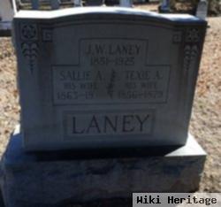 Sallie A. Laney