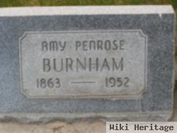 Amy Blanche Penrose Burnham