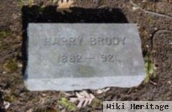 Harry C Brody