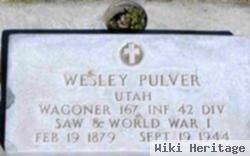 Wesley Pulver