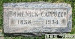 Domenick Cappuzzo