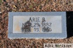 Arie Berryman Rice